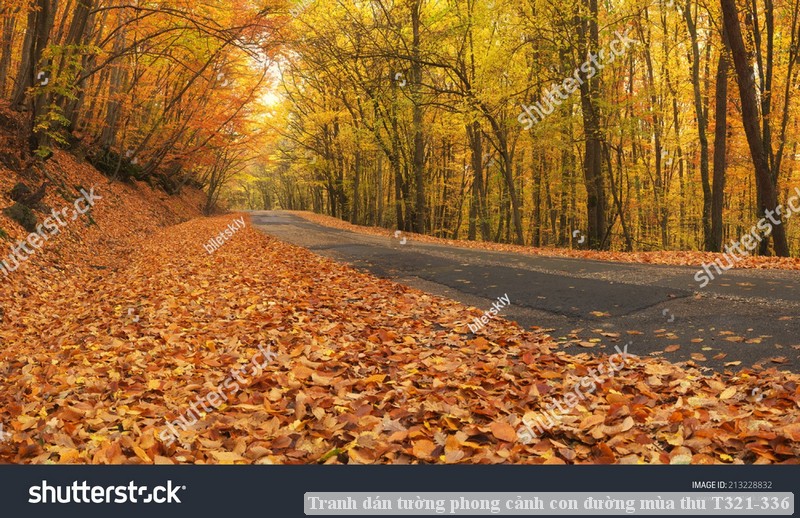 Tranh dán tường phong cảnh hồ thác, cây cối T321-521